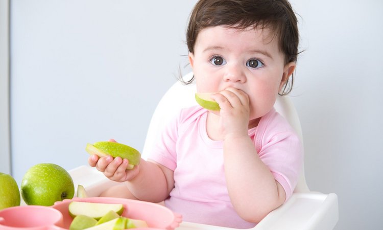 Kleinkind isst Apfelschnitze im Hochstuhl