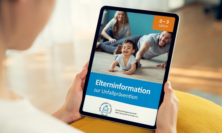 BAG Header PDF Downloads