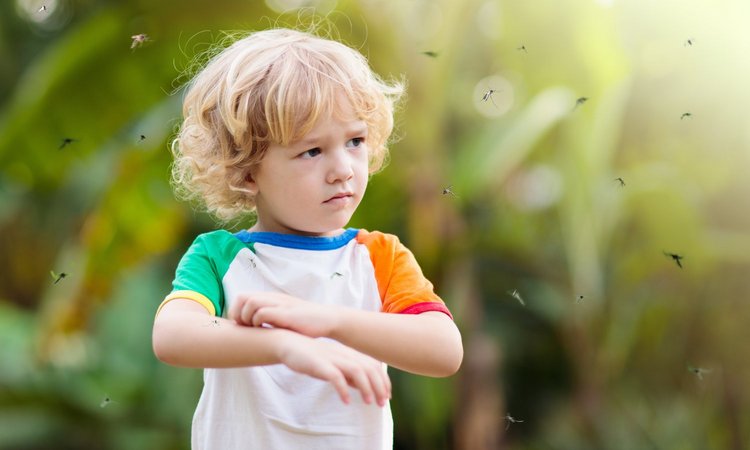 Kind kratzt sich am Insektenstich