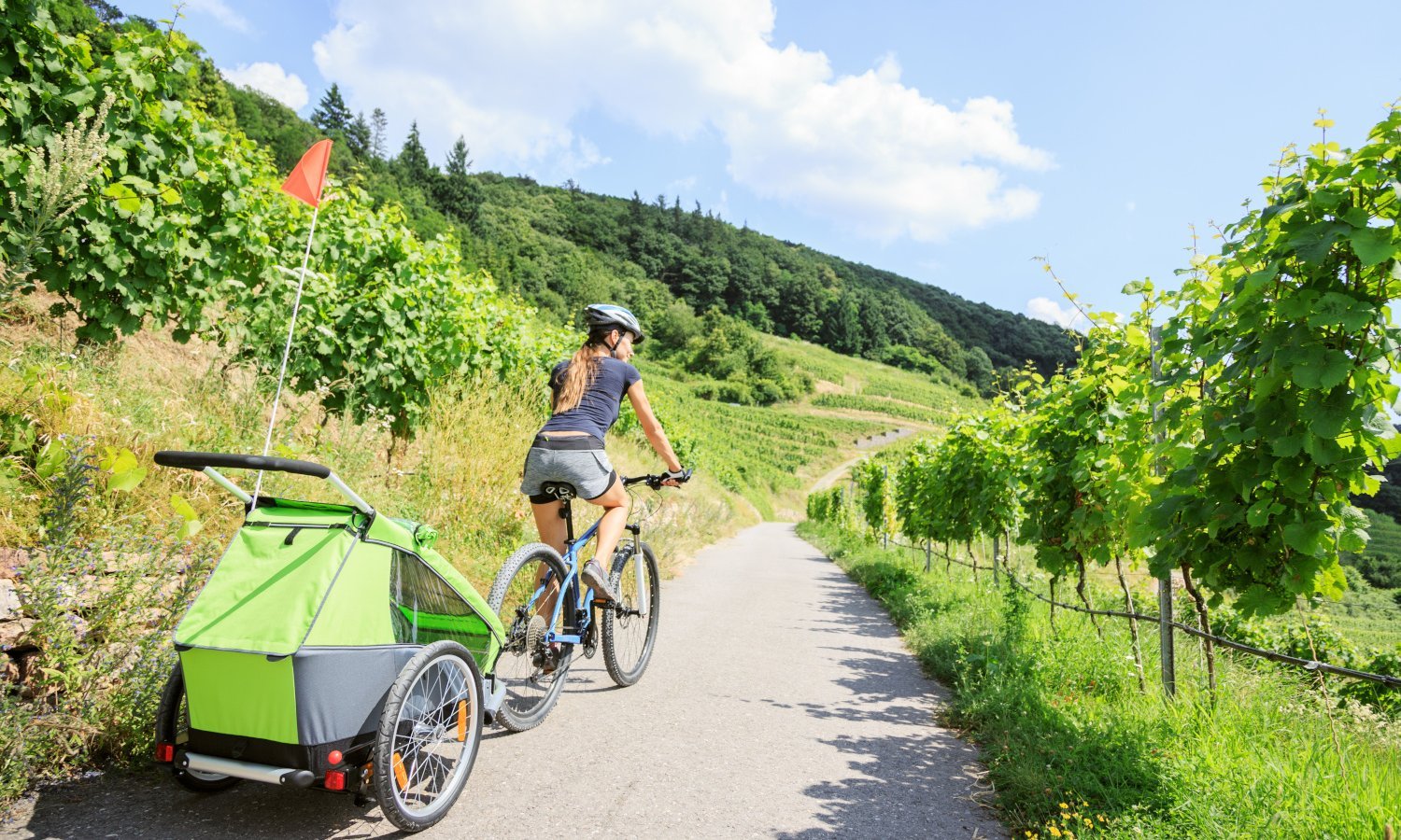 Eine Frau fährt auf ihrem Fahrrad mit Fahrradanhänger durch einen Weinberg
